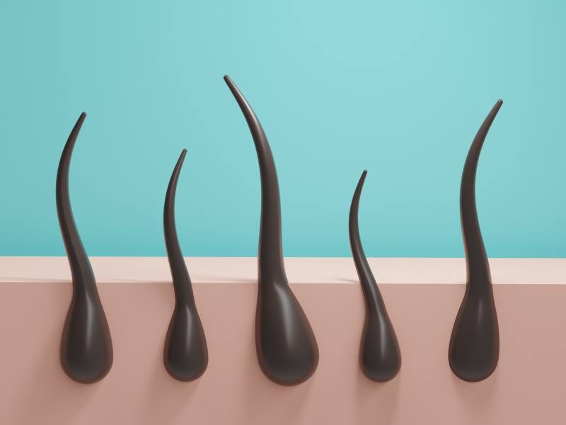 Ciclo de crescimento do cabelo: fases anágena, catágena e telógena explicadas
